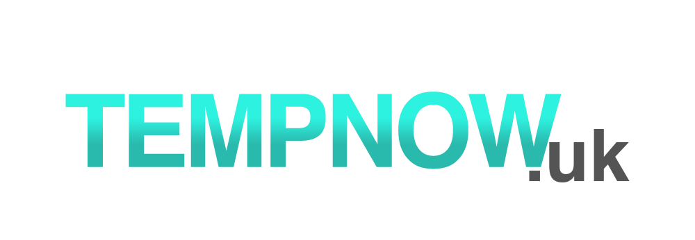 TEMPNOW Logo